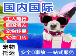 西庆机场快递国际宠物托运 【国